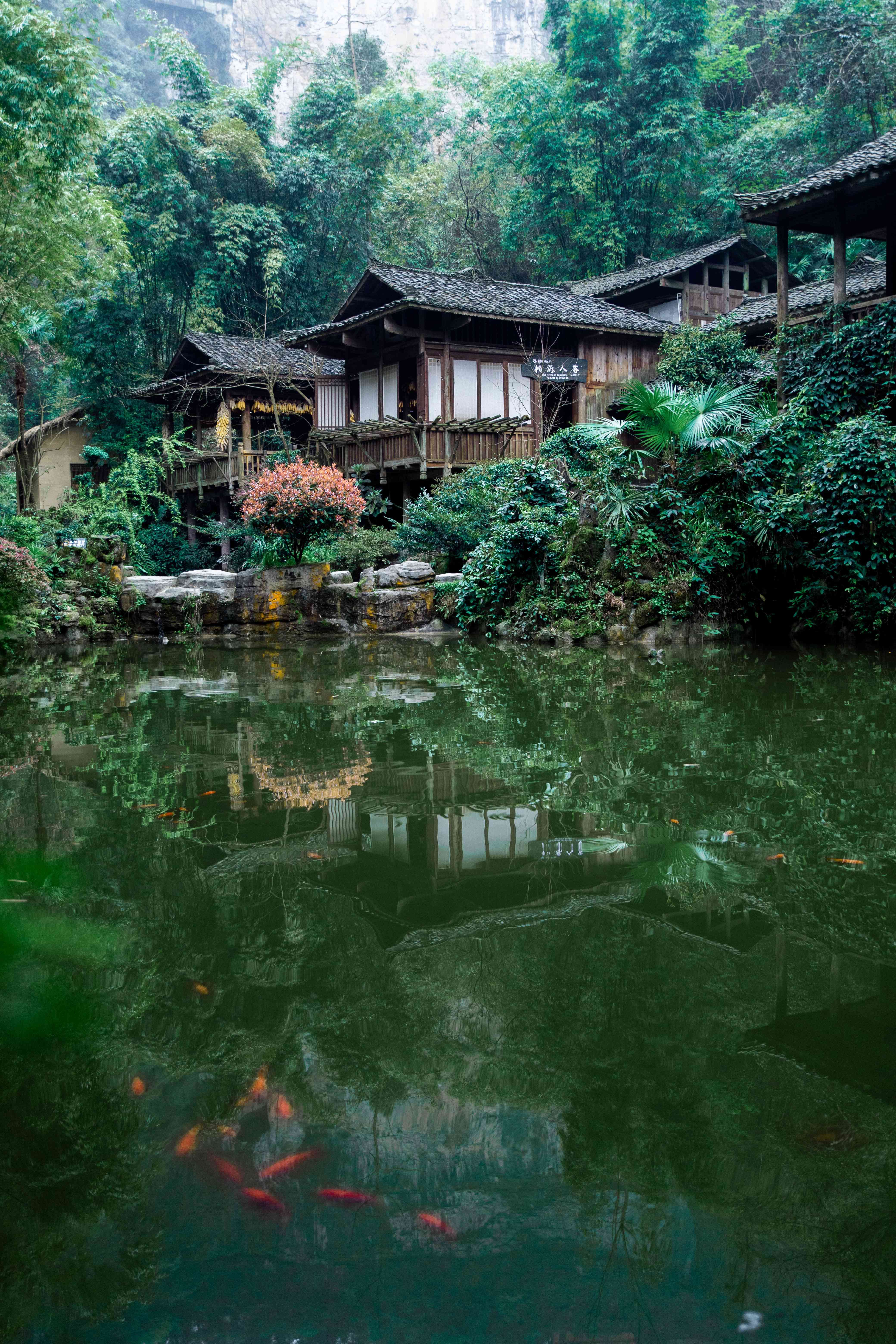 11元畅游桃花源，还有更多超值大礼包等你来抢